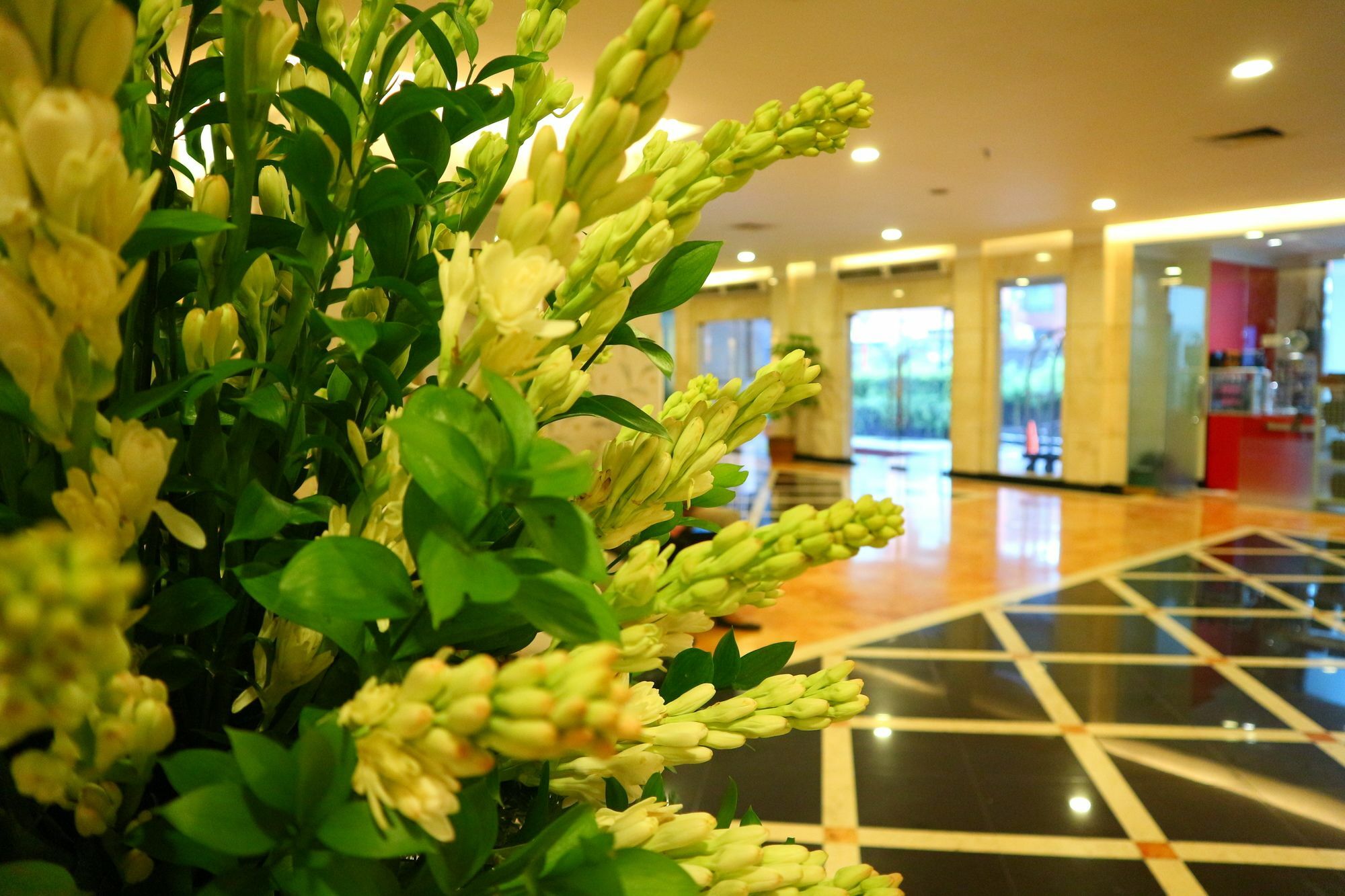 Hotel Horison Arcadia Mangga Dua Dżakarta Zewnętrze zdjęcie
